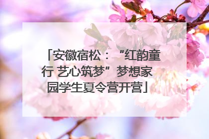 安徽宿松：“红韵童行 艺心筑梦”梦想家园学生夏令营开营